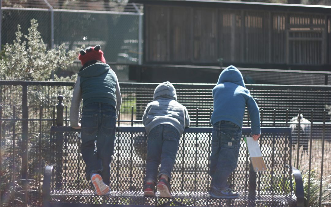 The Mysterious (Or Not-So-Mysterious) Phenomenon of Perfect Parents