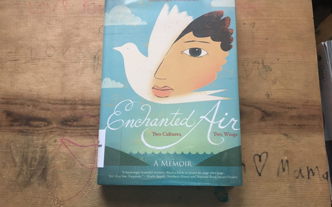 An Eye-Opening Memoir Every Child Should Read (or Be Read)
