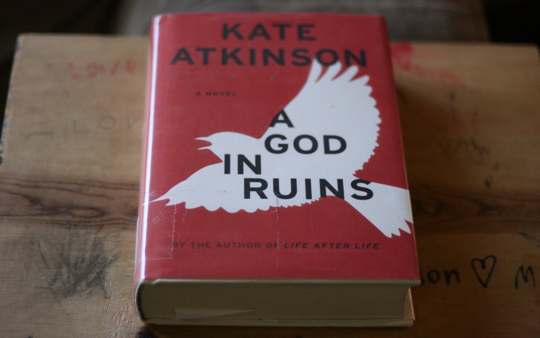 2 Intriguing Adult Novels that Will Disturb You
